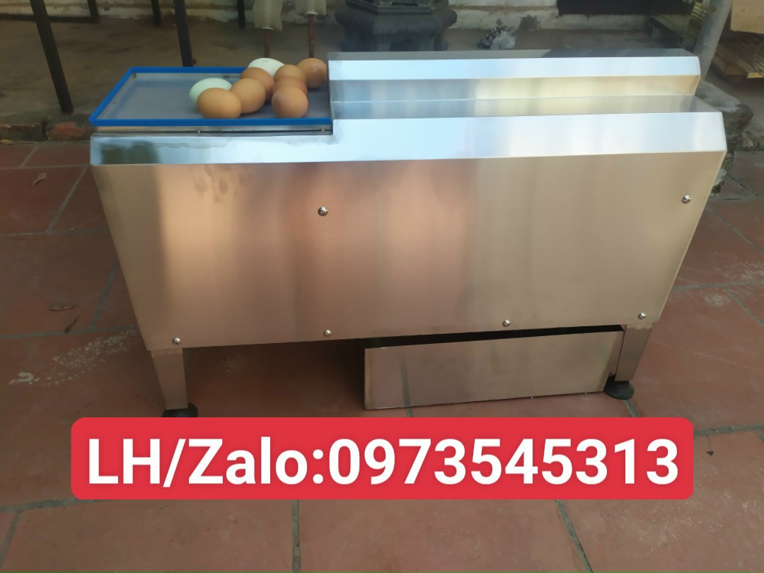 máy bóc vỏ trứng gà 1