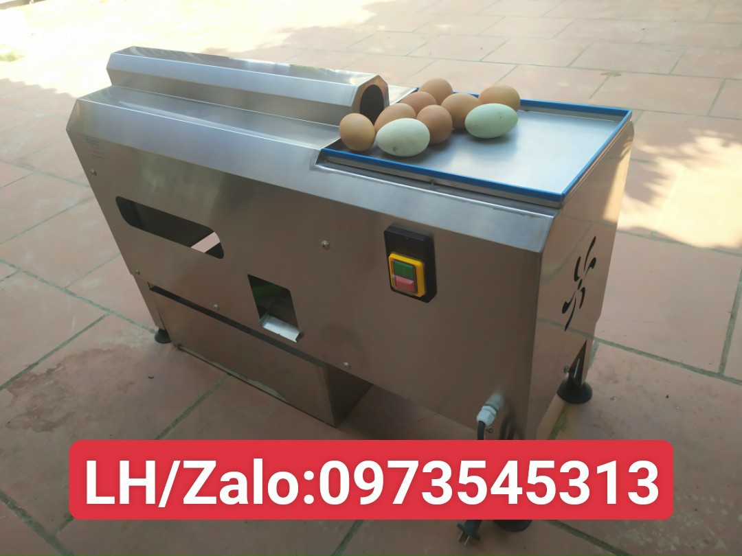 máy bóc vỏ trứng gà 3