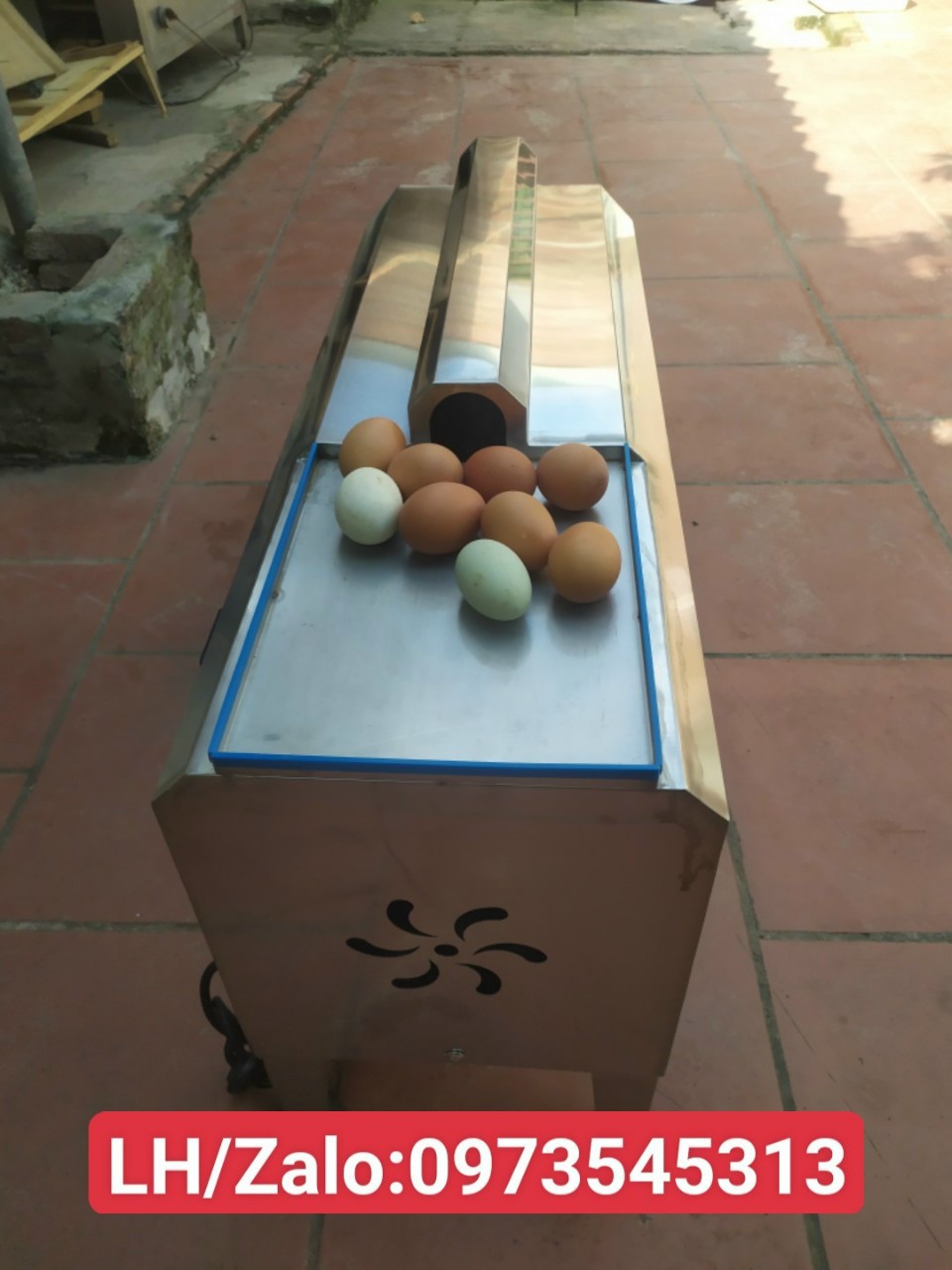 máy bóc vỏ trứng gà 4