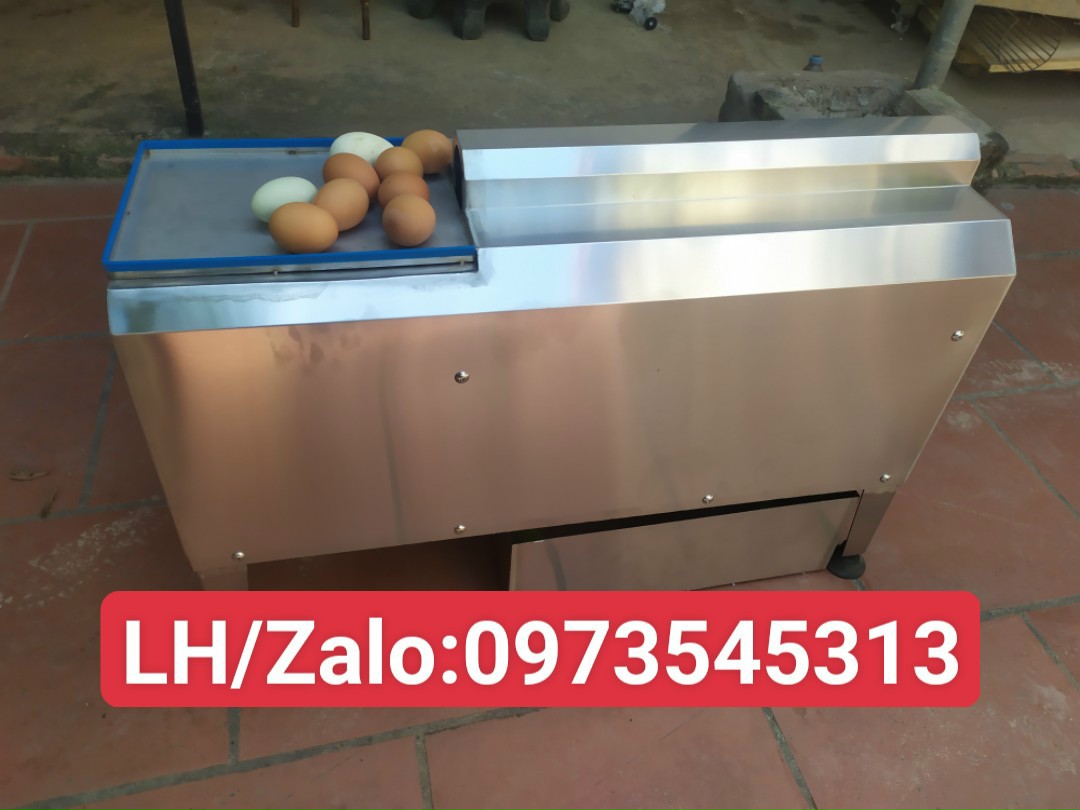 máy bóc vỏ trứng gà 6