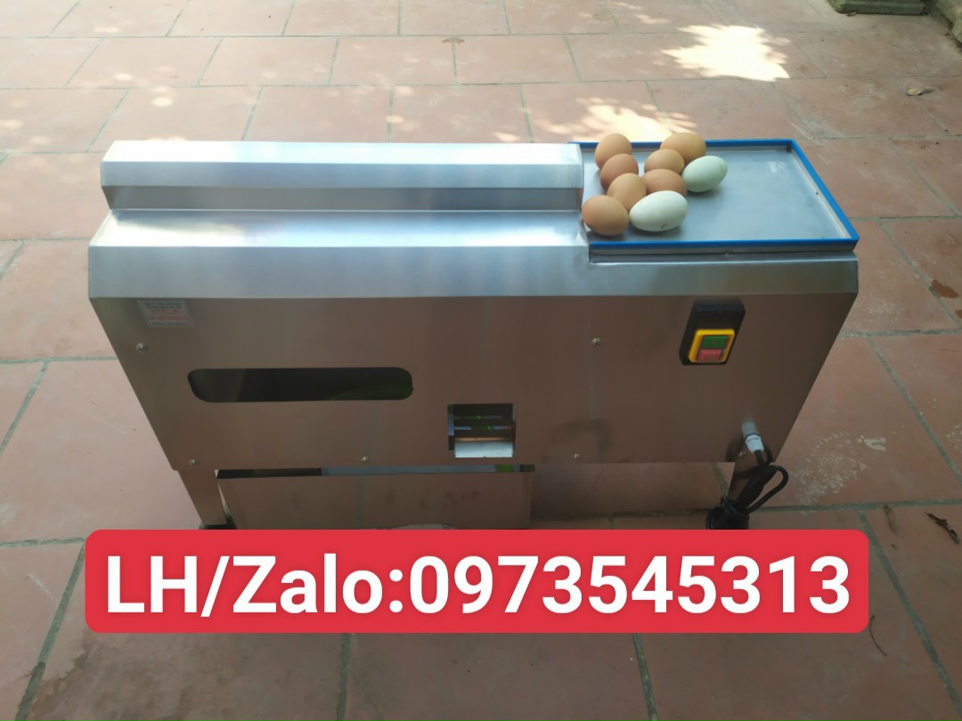 máy bóc vỏ trứng gà 7