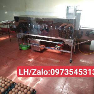 Máy Rửa Trứng Vịt, Rửa Trứng Gà Băng Tải DV-BT02