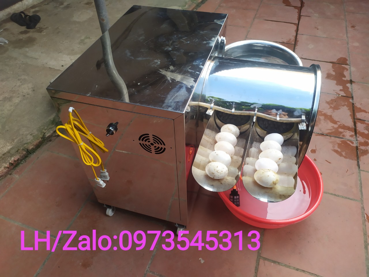 máy rửa trứng cửa đôi 11